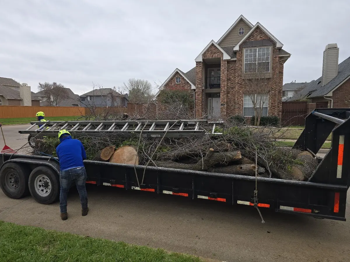 Expert Tree Fertilization with proper safety equipment in Shageluk